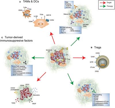 Re-education of the Tumor Microenvironment With Targeted Therapies and Immunotherapies